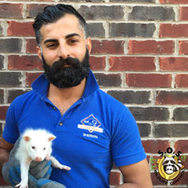 Sherwin - SOS Wildlife Control