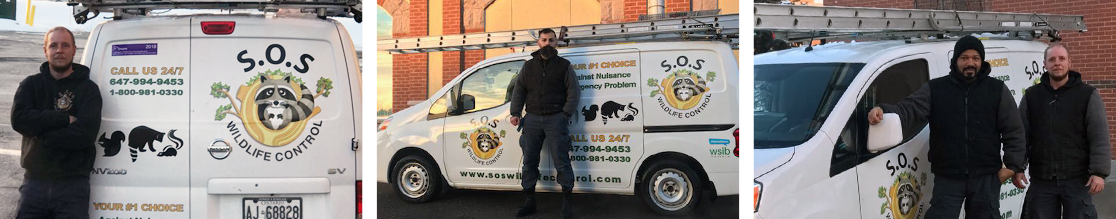 Sos Pest Control Team Picture